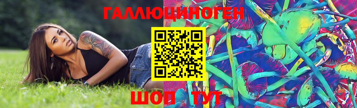 Галлюциногенные грибы Cubensis Чебоксары